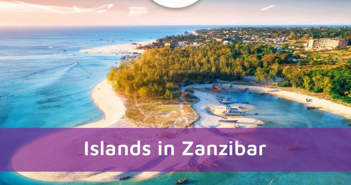Islands In Zanzibar: Marine Magic And Luxury Redefined!  