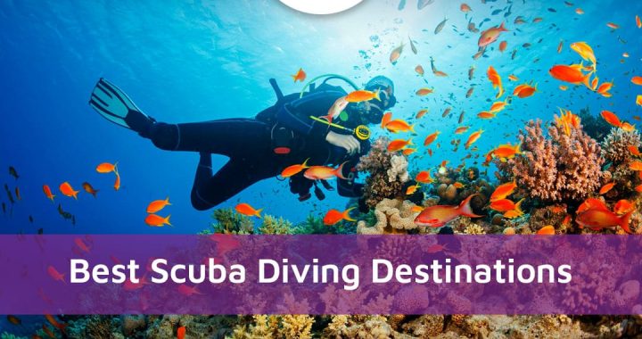 10 Best Scuba Diving Destinations 